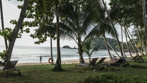 Principe is a mountainous volcanic island, bordered by pristine beaches and whose tropical forest is home to a wealth of endemic species