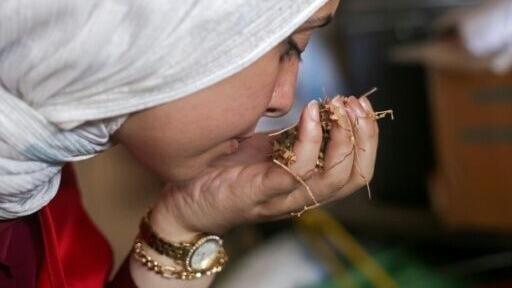 Amani Al-Naouq, spokesperson for the International Committee of the Red Cross (ICRC) in Gaza, smells chamomile seeds in Deir el-Balah, central Gaza Strip