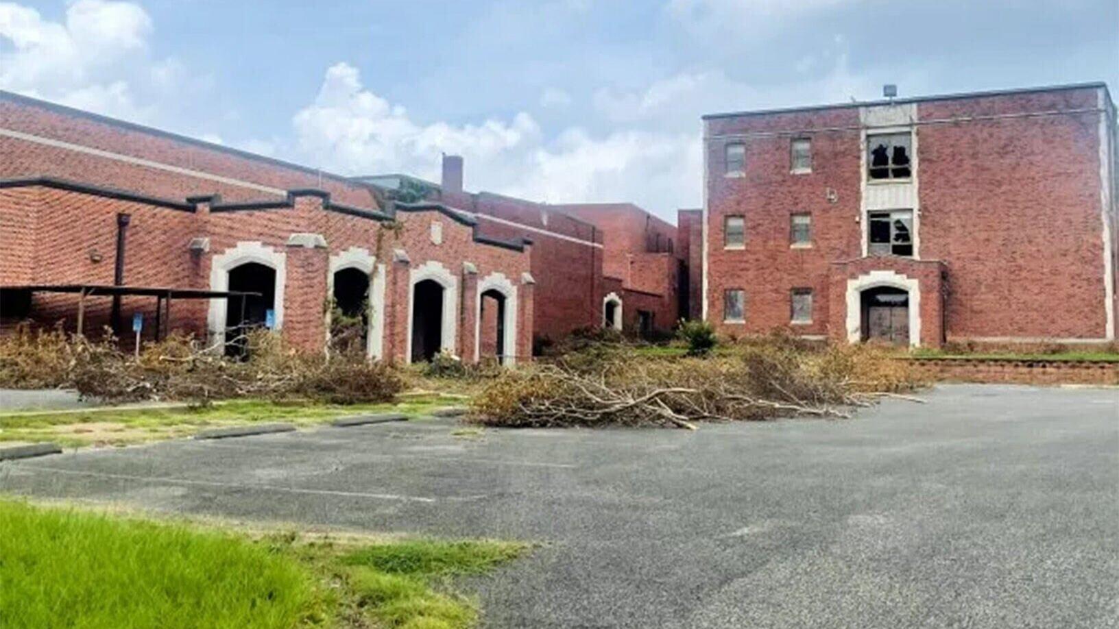 loft-tree-removal3-e1784498804665.jpg