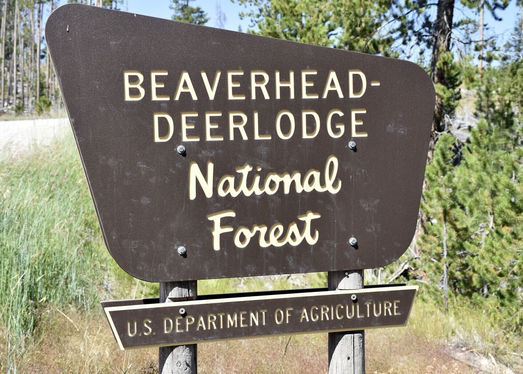 Beaverhead-Deerlodge National Forest
