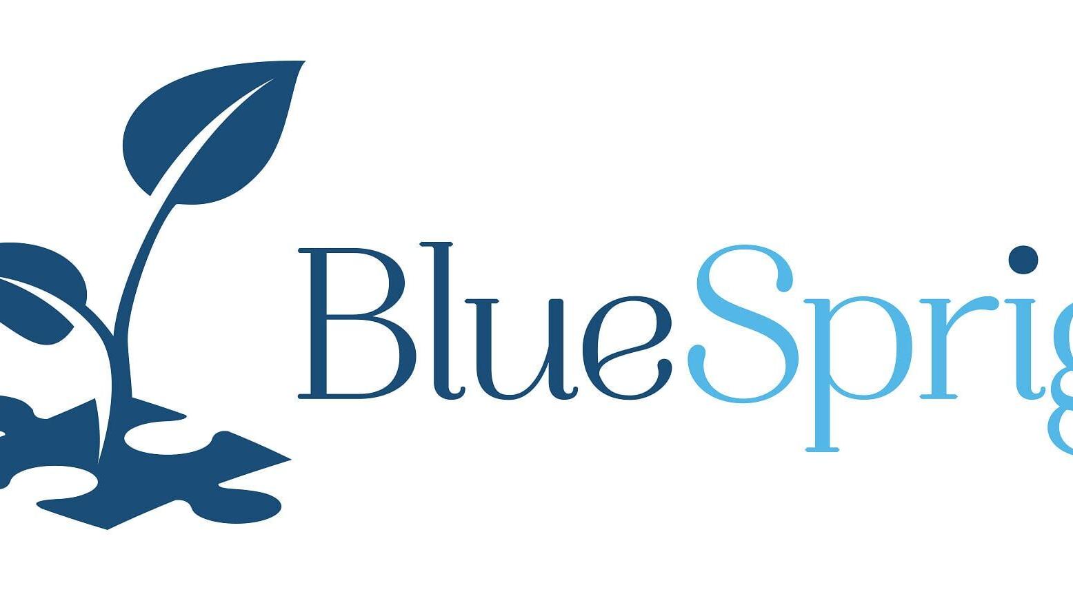 BlueSprig Company Logo