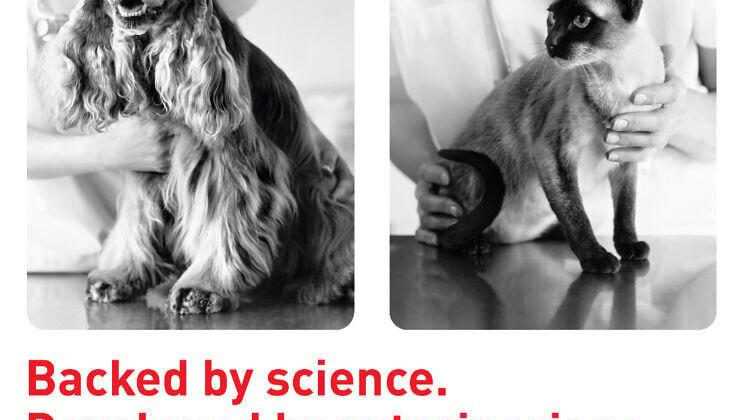 Royal Canin Expands Access to Therapeutic Nutrition in Amazon’s Stores