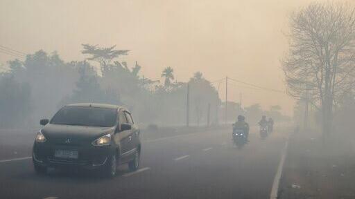 Fires between January and July burned more than 200,000 hectares of land -- an area three times the size of Jakarta, the government said
