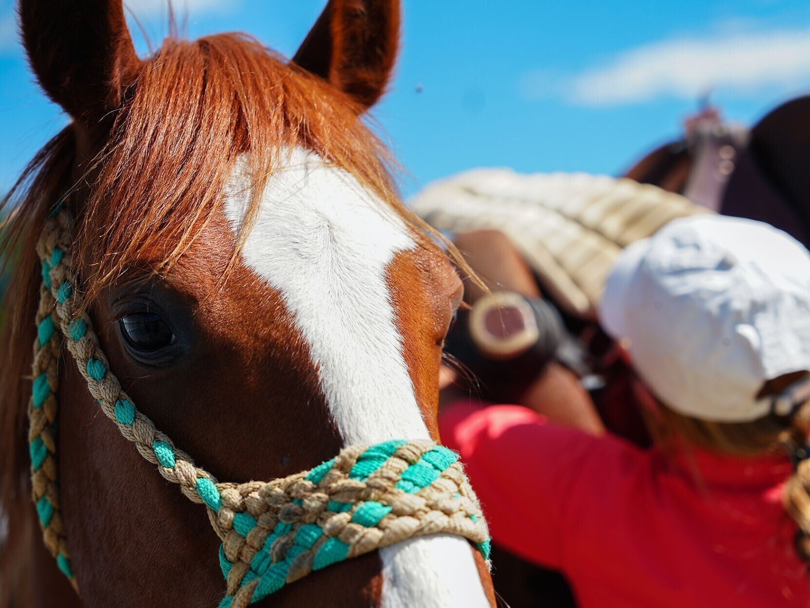 Kail Wood, 15, saddles up her horse, Skeet,