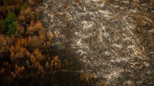 A massive fire ravaged 42,000 hectares near Bordeaux in southwestern France