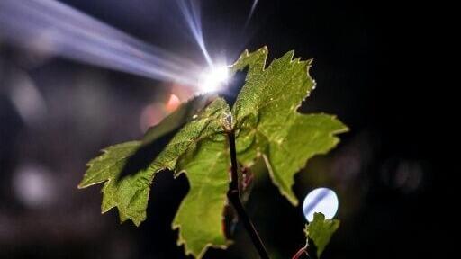 Climate change is intensifying and lengthening spells of extreme heat and drought across Europe