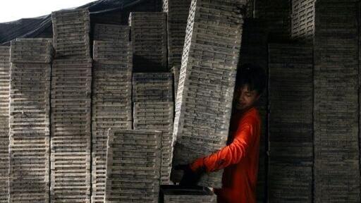 Myanmar migrants have long worked in neighbouring Thailand, but the country's civil war, triggered by a 2021 military coup, has sent even more fleeing across the border