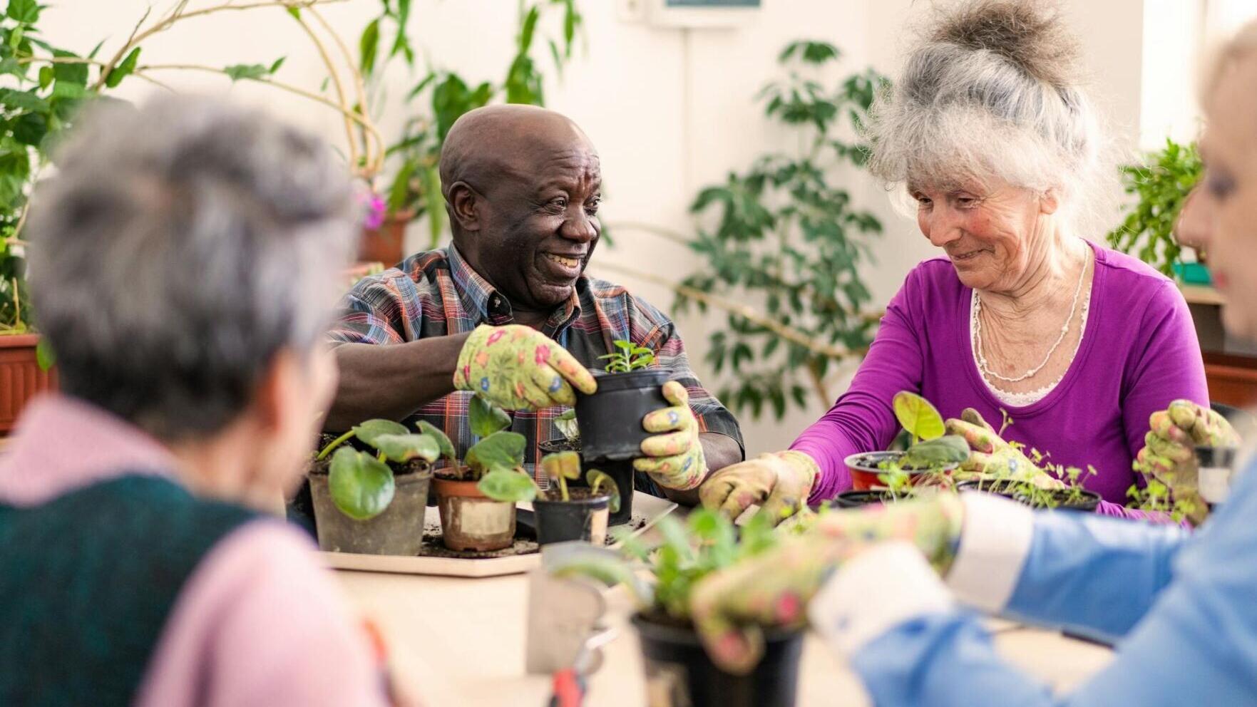 Senior centers are often vital community hubs for older adults.