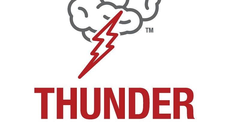THUNDER study demonstrates Penumbra’s THUNDERBOLT is safe and effective for stroke care.
