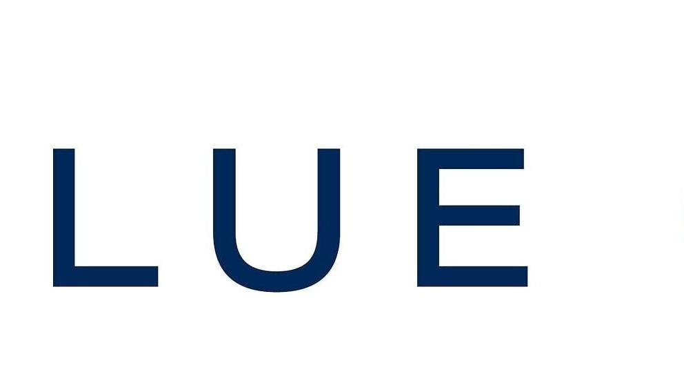 Blue Owl Capital