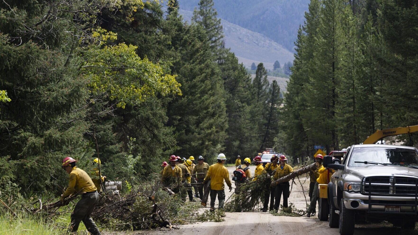 Fire damage from the Sand Creek fire at Maverick Mountain