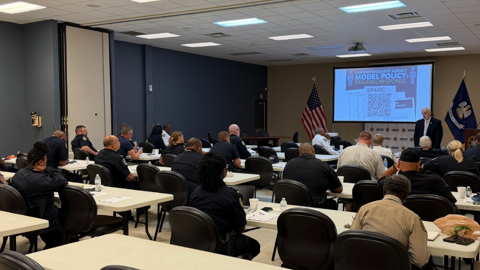 CPSO and SPD domestic violence training