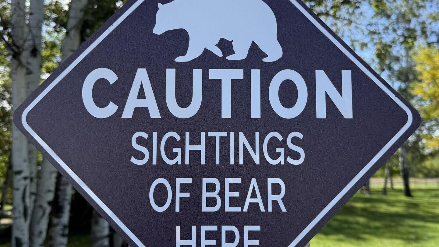 BearWarnings.jpeg