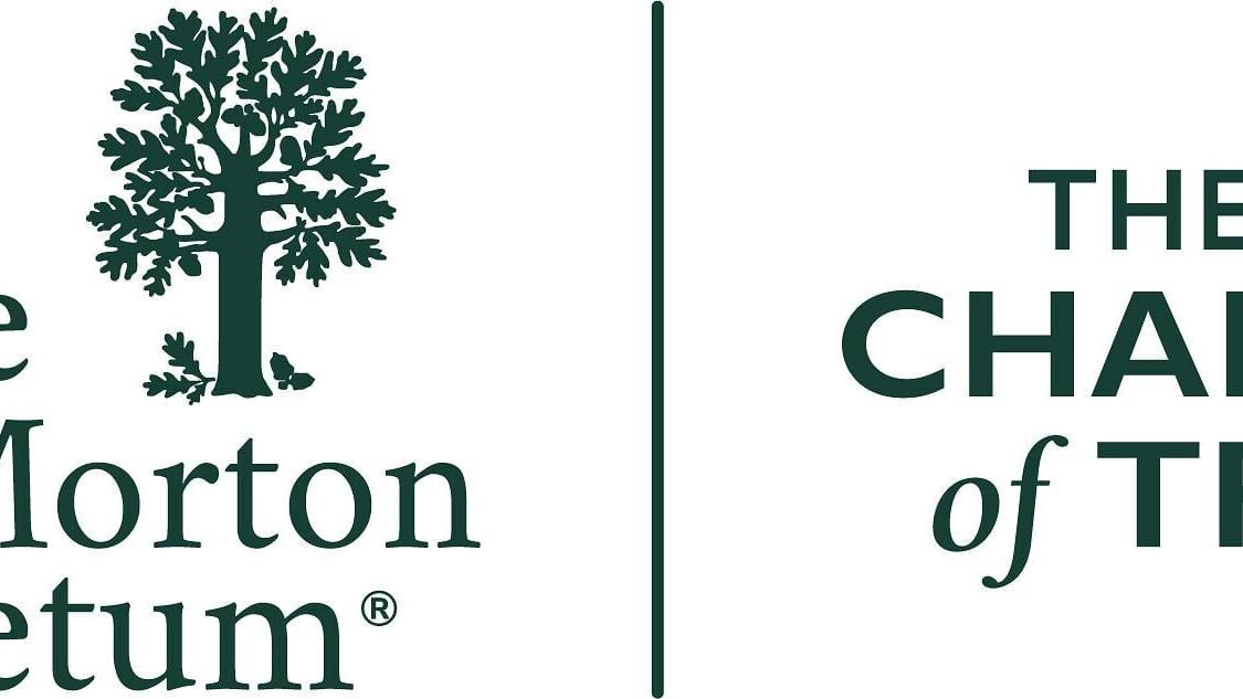 The Morton Arboretum logo