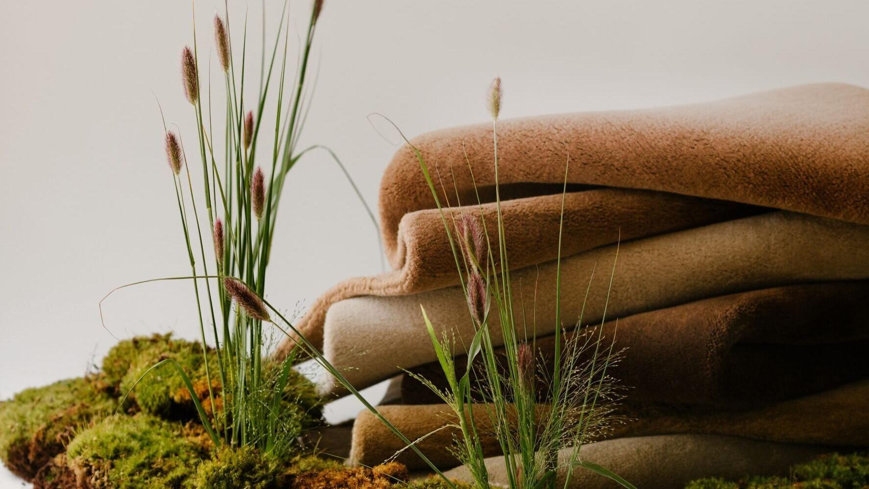 Ernesta Earth Tones