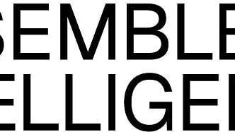Assembled Intelligence Logo