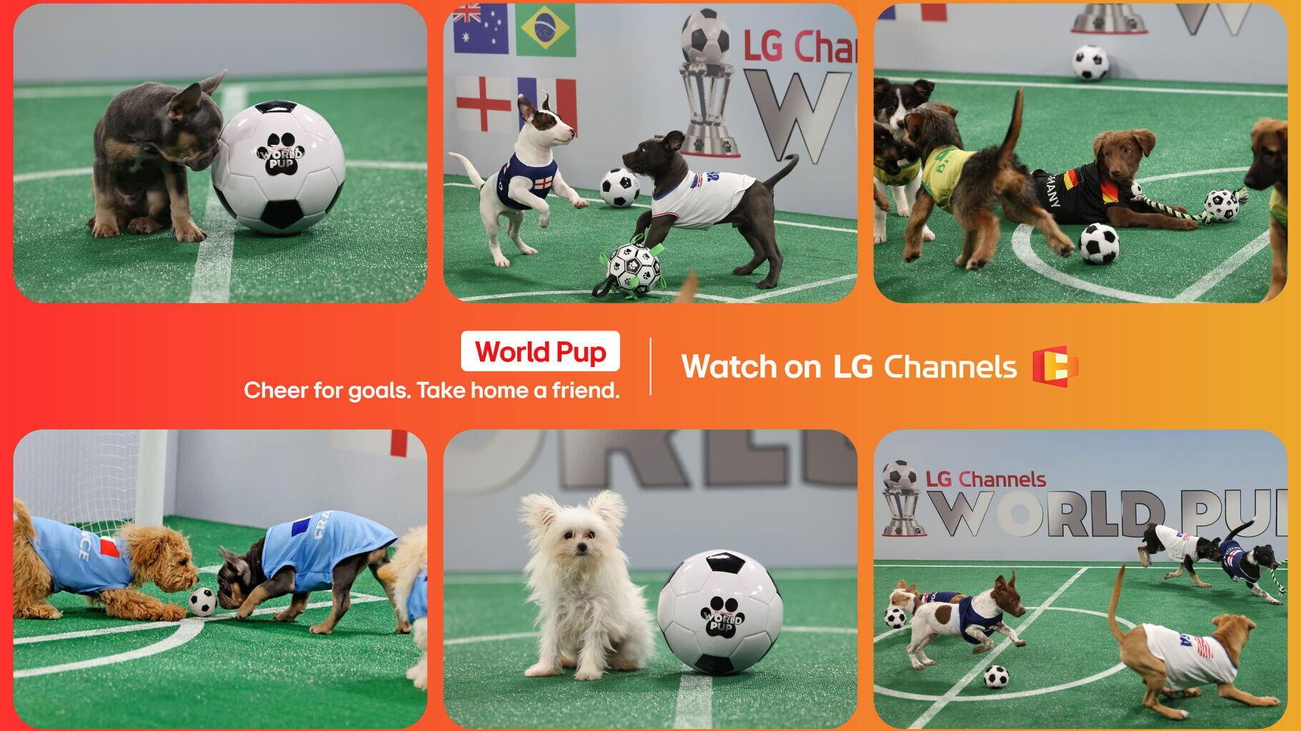 It also launched LG Channels World Pup, a tournament-style puppy soccer competition produced by Bright Spot Content (All3Media America), featuring adoptable rescue dogs from multiple shelters.