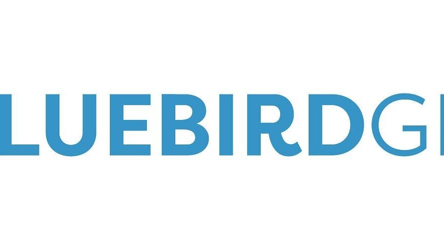 The Bluebird Group