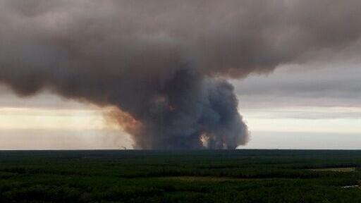"Fire clouds" or pyrocumulonimbus clouds are born from the flames -- and can spread blazes even further