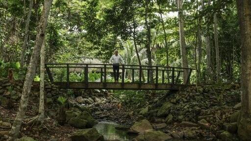 The dividend scheme is the idea of an entrepreneur who promotes exclusive ecotourism for the ultra-wealthy