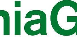 Virginia Green's logo