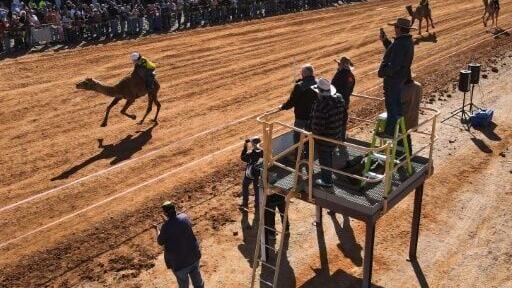 Every year, hundreds of spectators descend on the small town for the annual Marree Camel Cup