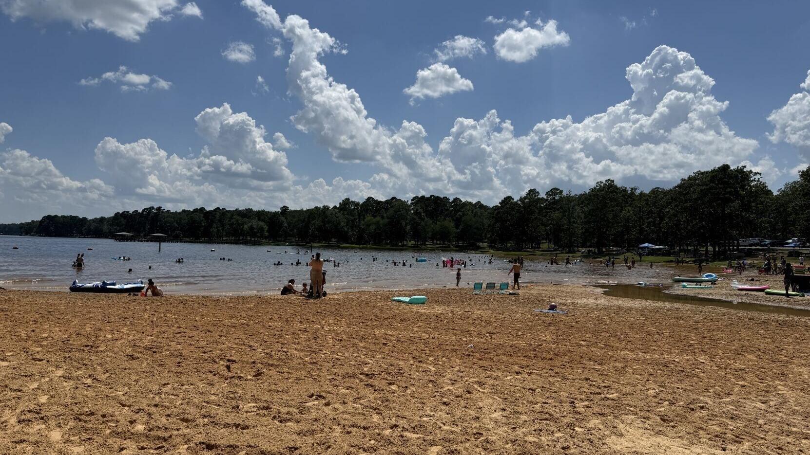 Cypress Lake 2.JPEG