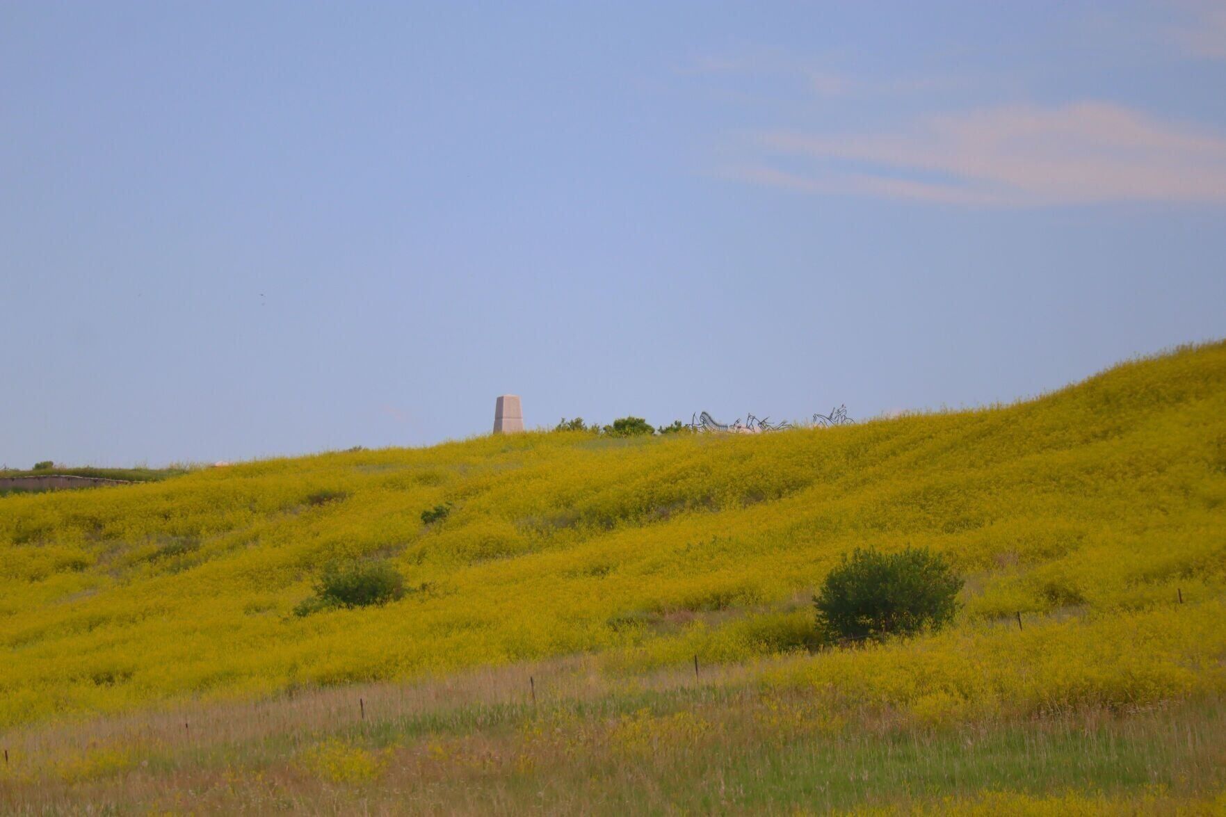 Sweet Clover.jpg