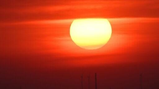 Around 9,600 deaths took place in one week in late June when Germany baked in temperatures of over 40C, according to the Robert Koch Institute