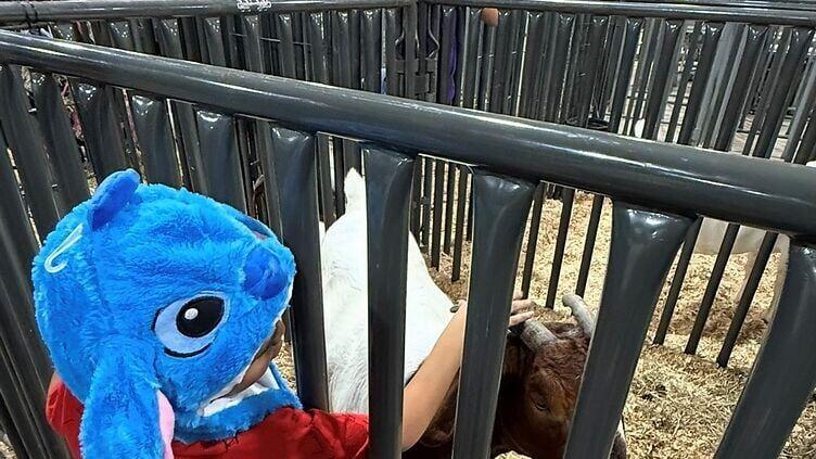 The Arizona public health authorities designated the Arizona State Fair outbreak as a cluster of sixteen cases identified in November and December of 2025. Health officials confirmed that genetic sequencing identified J.L.'s E. coli isolate as a genetic...