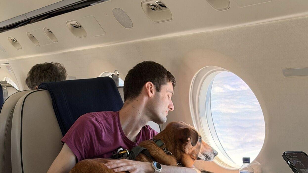 Vicuna Air passengers, both two- and four-legged, enjoy the view together from the cabin. Vicuna Waypoints will extend the same pet-first approach to the journey before departure and after landing.