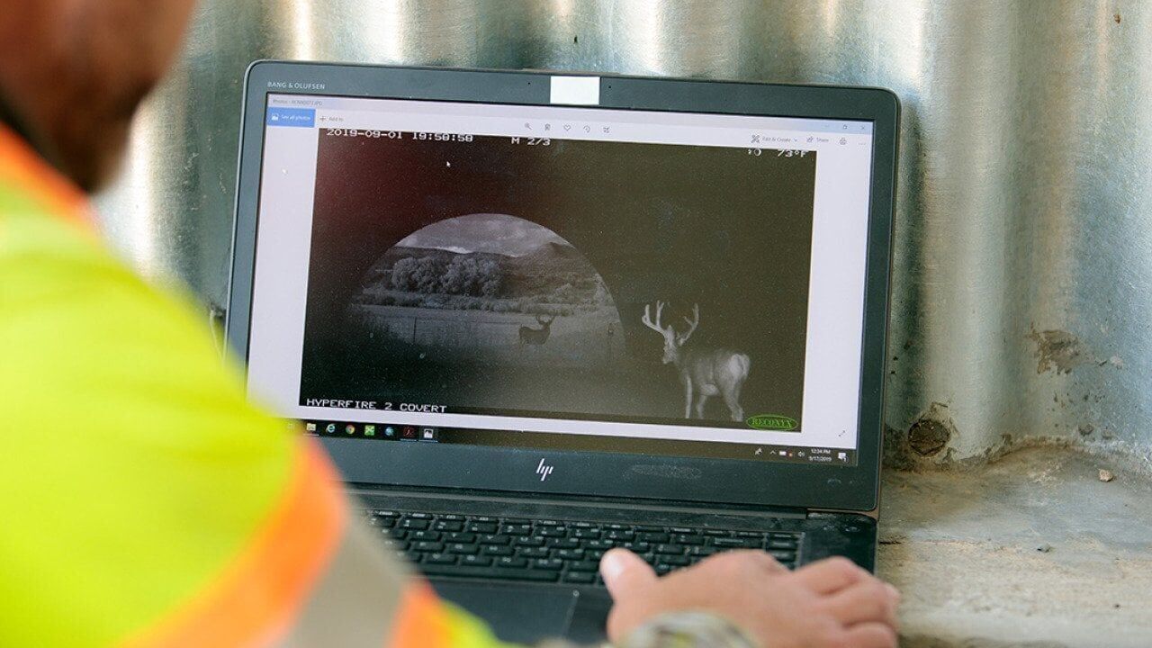 Now rural communities are connecting, rather than just preserving, wildlife habitats