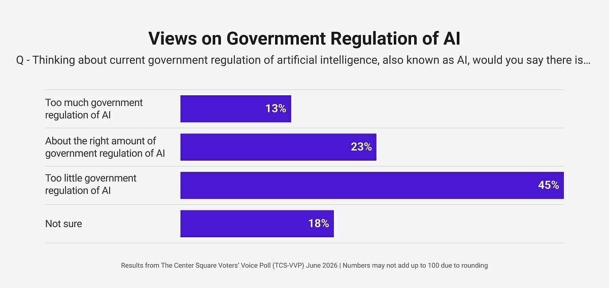TCS VVP Jun 2026 - Views on Government Regulation of AI