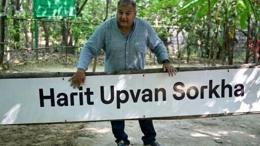 Swami Prem Parivartan, better known as "Peepal Baba" or "tree father", and his teams became one of India's largest grassroots planting movements