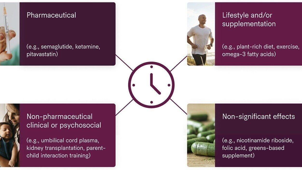 Source: Johnson A, Sinclair DA, et al. "Which Interventions Influence Biological Aging?" Frontiers in Genetics (2026)