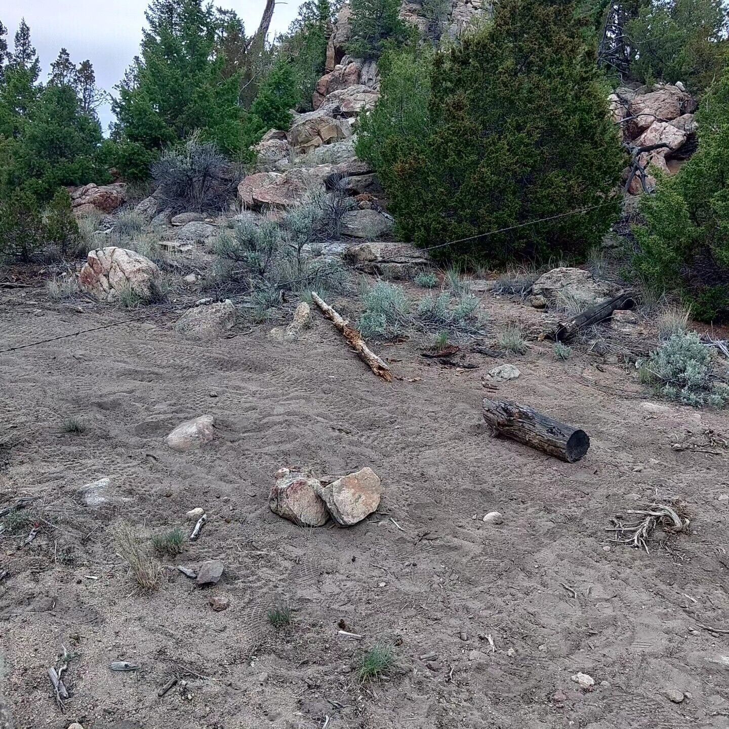 Wire found across trail