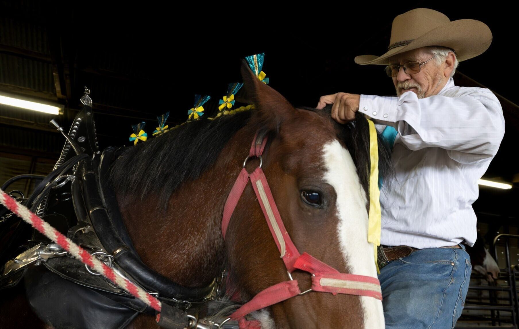 31st annual Big Sky Draft Horse Expo in Deer Lodge