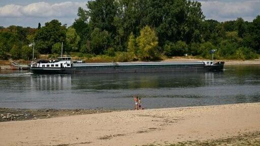 The low water levels on the Rhine are affecting industries ranging from chemicals to agriculture