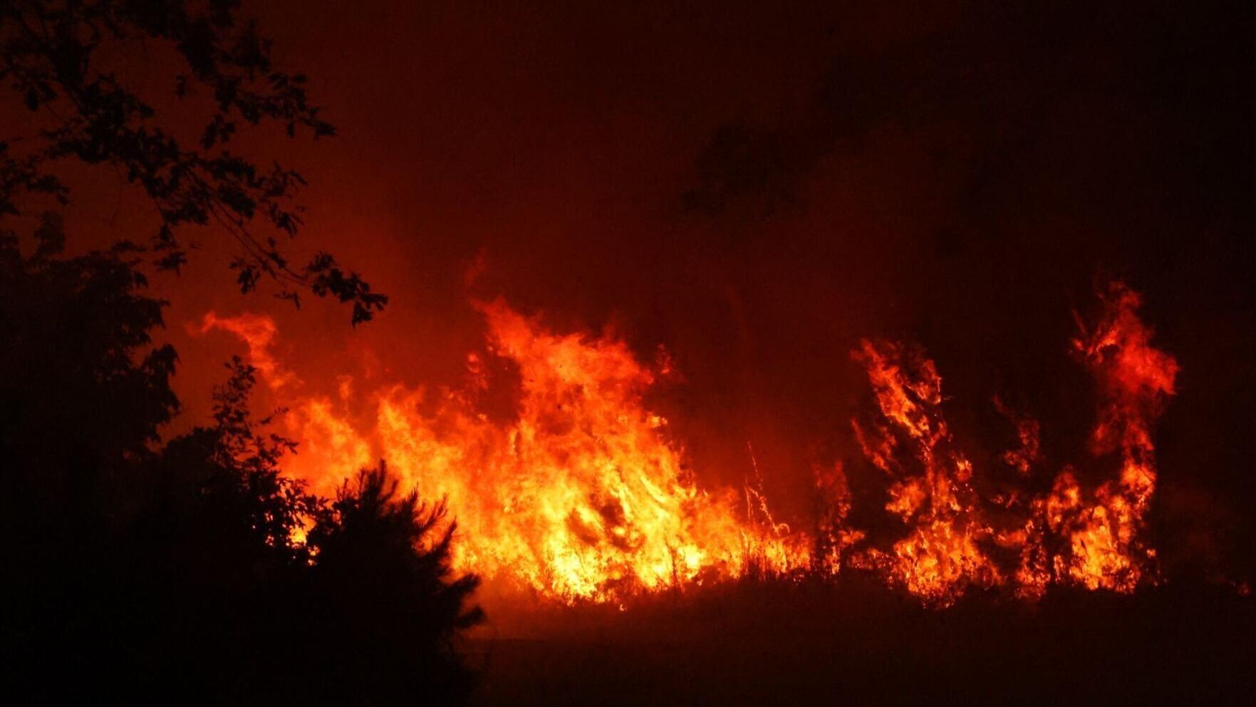 Pine Tree Road Fire