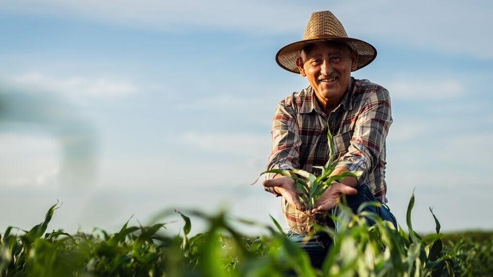 60.3% of Michigan's Seasonal Visa Workers Fill Farm Jobs