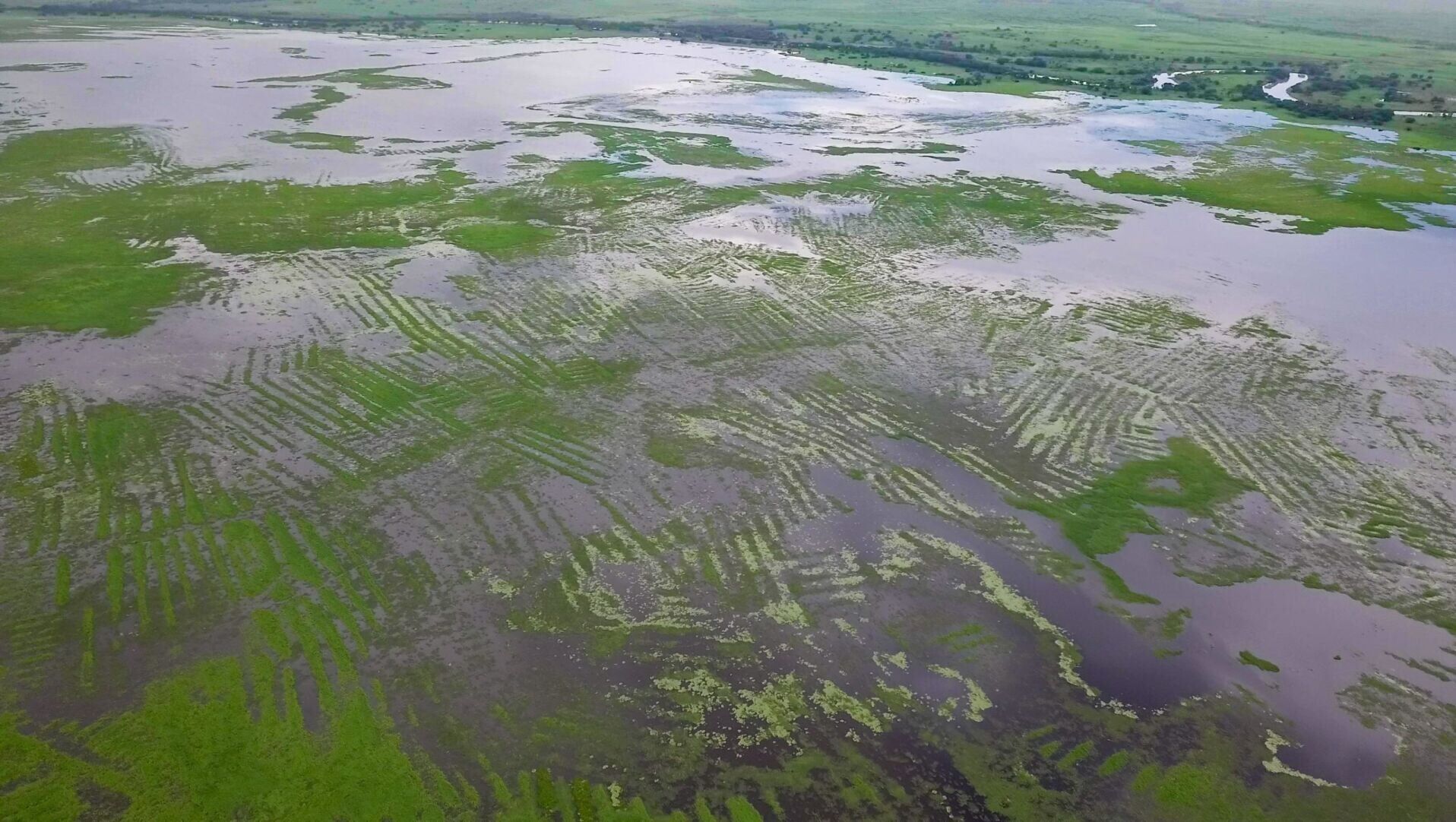 Early farmers achieved “engineering wonder” by building huge irrigation system