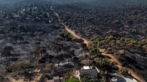 One fire in Spain destroyed large parts of the forest in Pelayos de la Presa, near Madrid