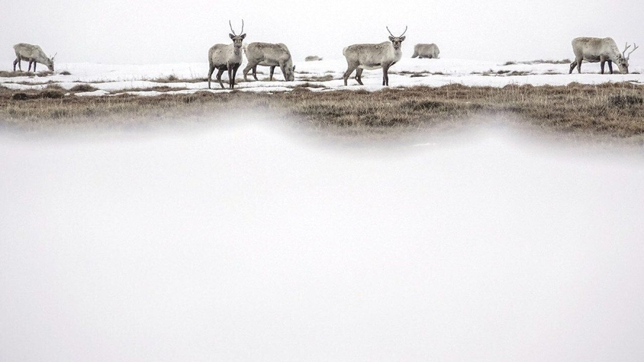 The administration's plan to rubber-stamp drilling in the Arctic