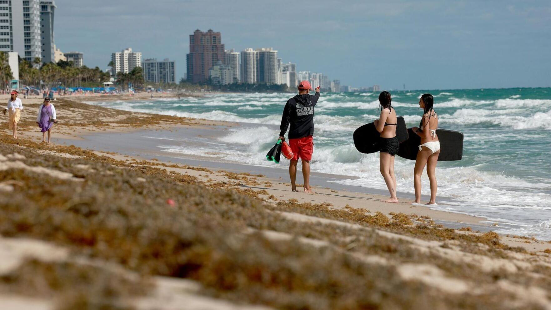 Sargassum littered beaches in Fort Lauderdale, Fla., in spring 2023, making a mess during spring break.