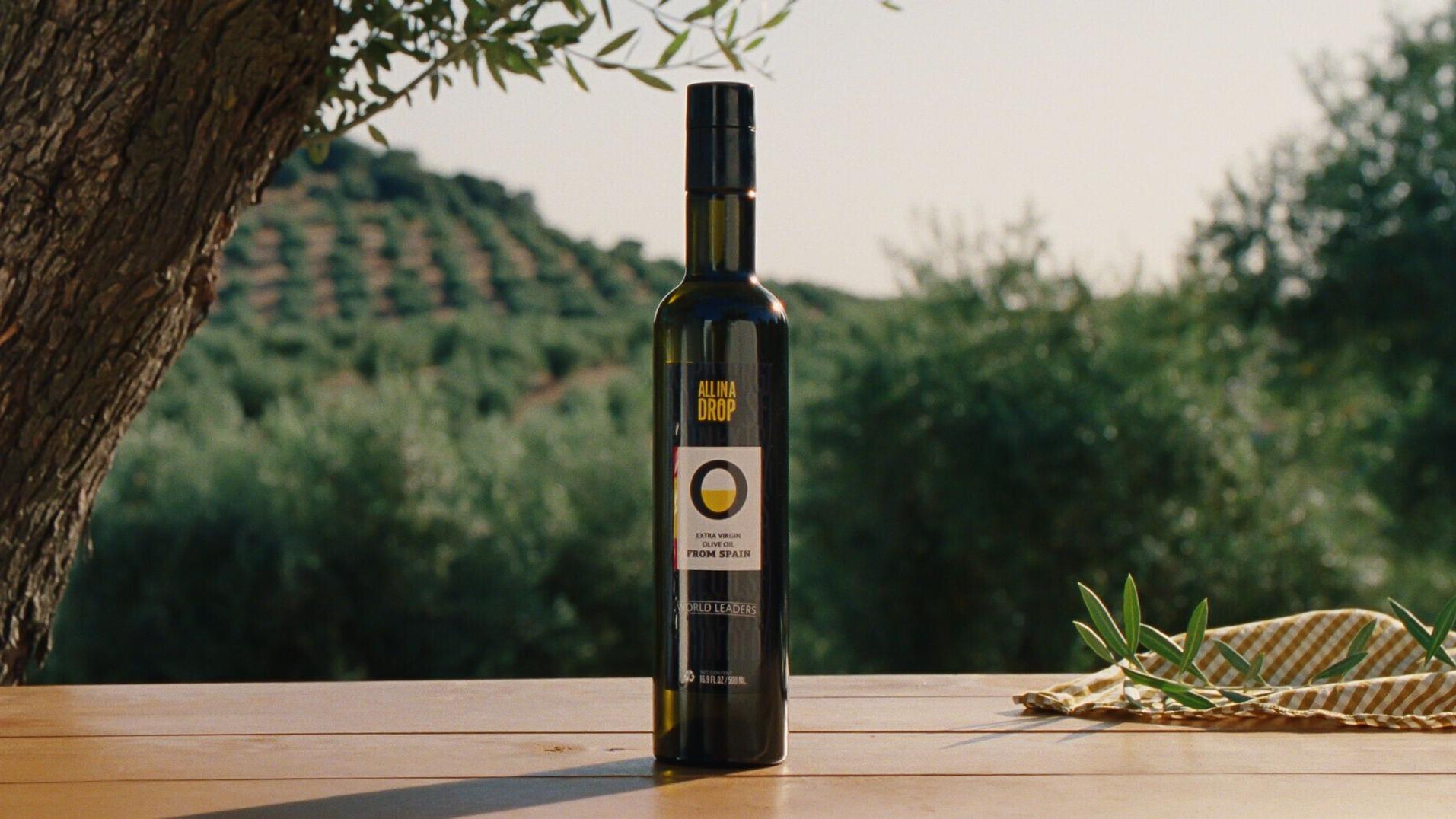 Spain produces nearly 50% of the world's olive oil from over 200 olive varieties grown across 360 million trees—the largest human-planted forest on Earth. Some of those trees have been cultivated for more than 3,000 years.