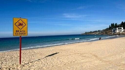 Sydney's Coogee Beach was closed to swimmers after a shark mauled primary school teacher Leah Stewart in June