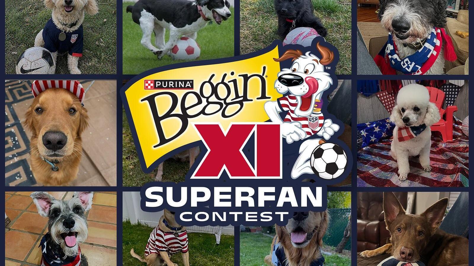 Beggin' XI roster of dog finalists