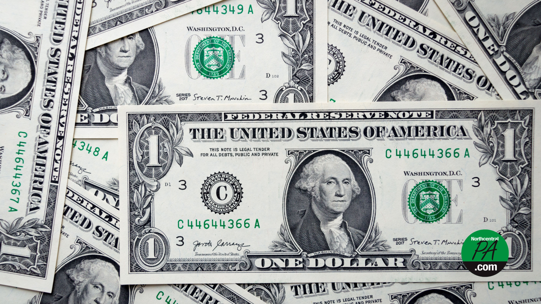 dollar bills ncpa - 1
