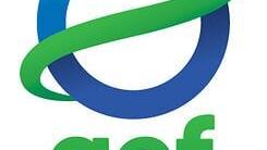 GEF Logo