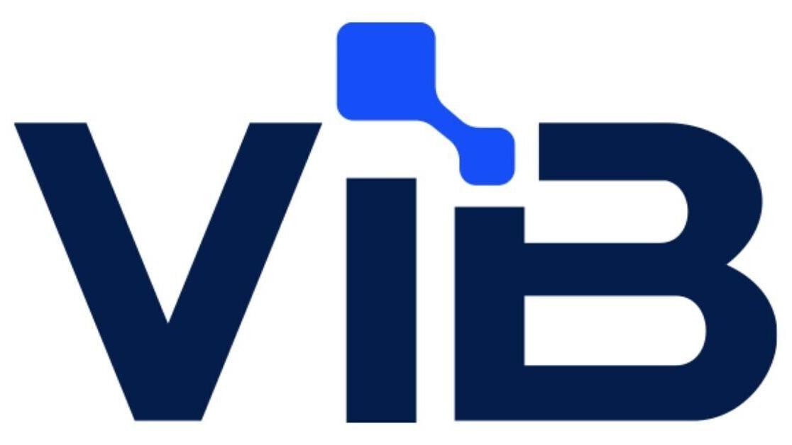 ViB logo. ViB is a B2B demand generation company connecting technology providers with verified tech professionals.